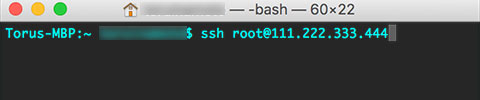 ターミナル　ssh